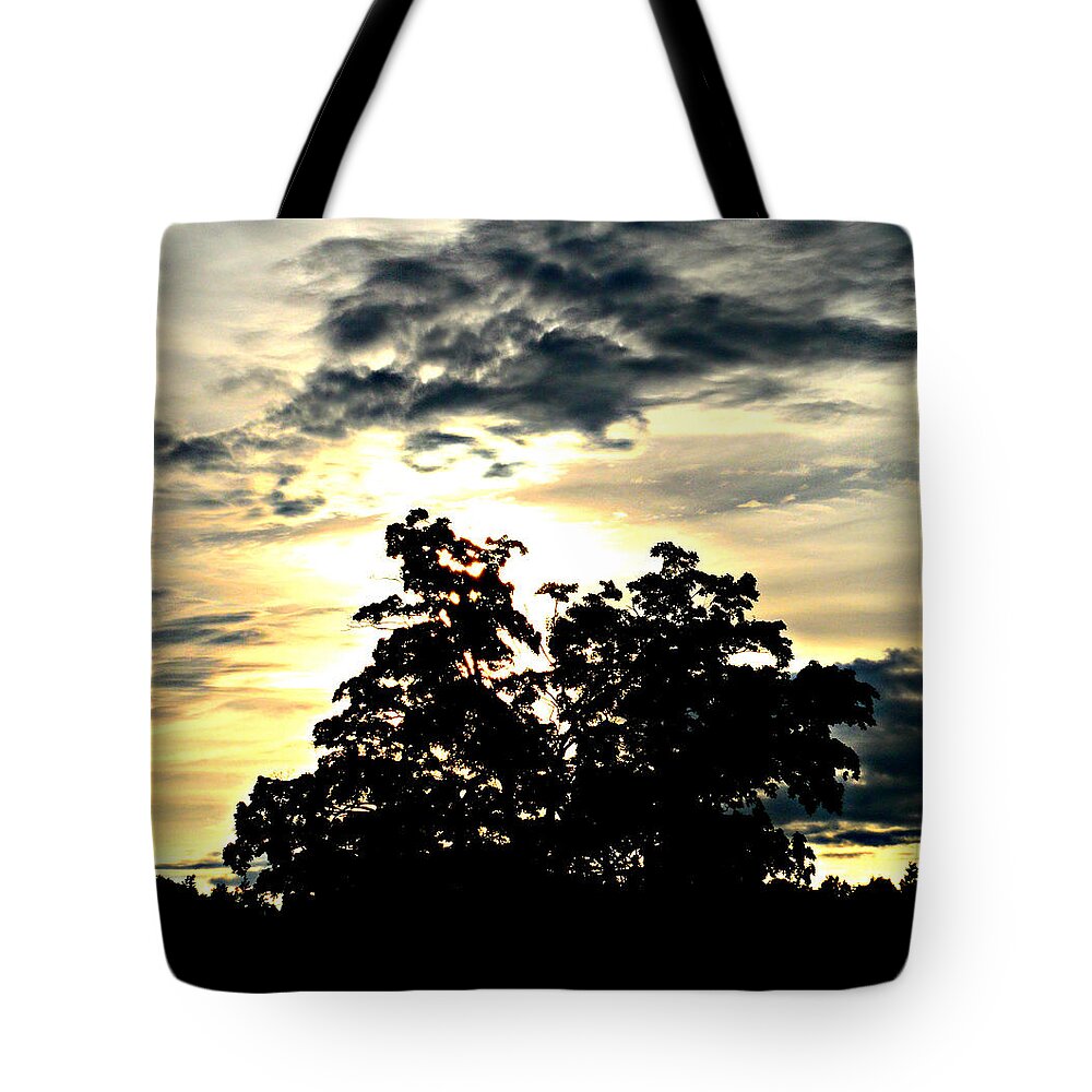 Beautifully Wasting Time Tote Bag featuring the painting Beautifully Wasting Time by Cyryn Fyrcyd