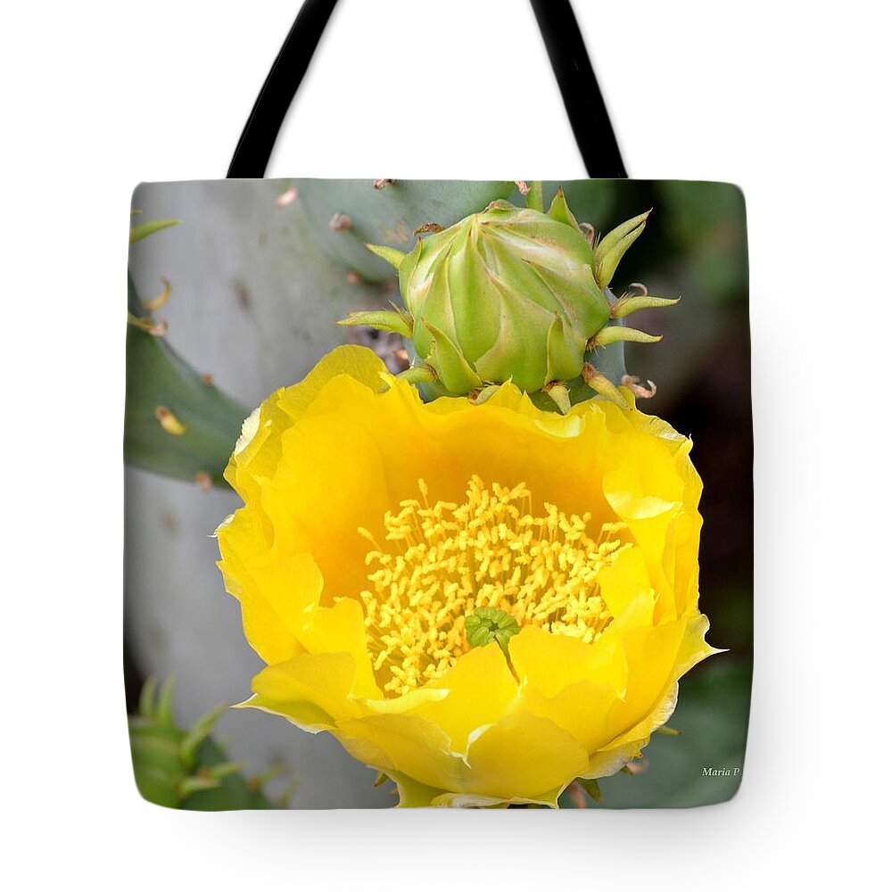 Beauty Tote Bag featuring the photograph Beauty Begets Beauty by Maria Urso