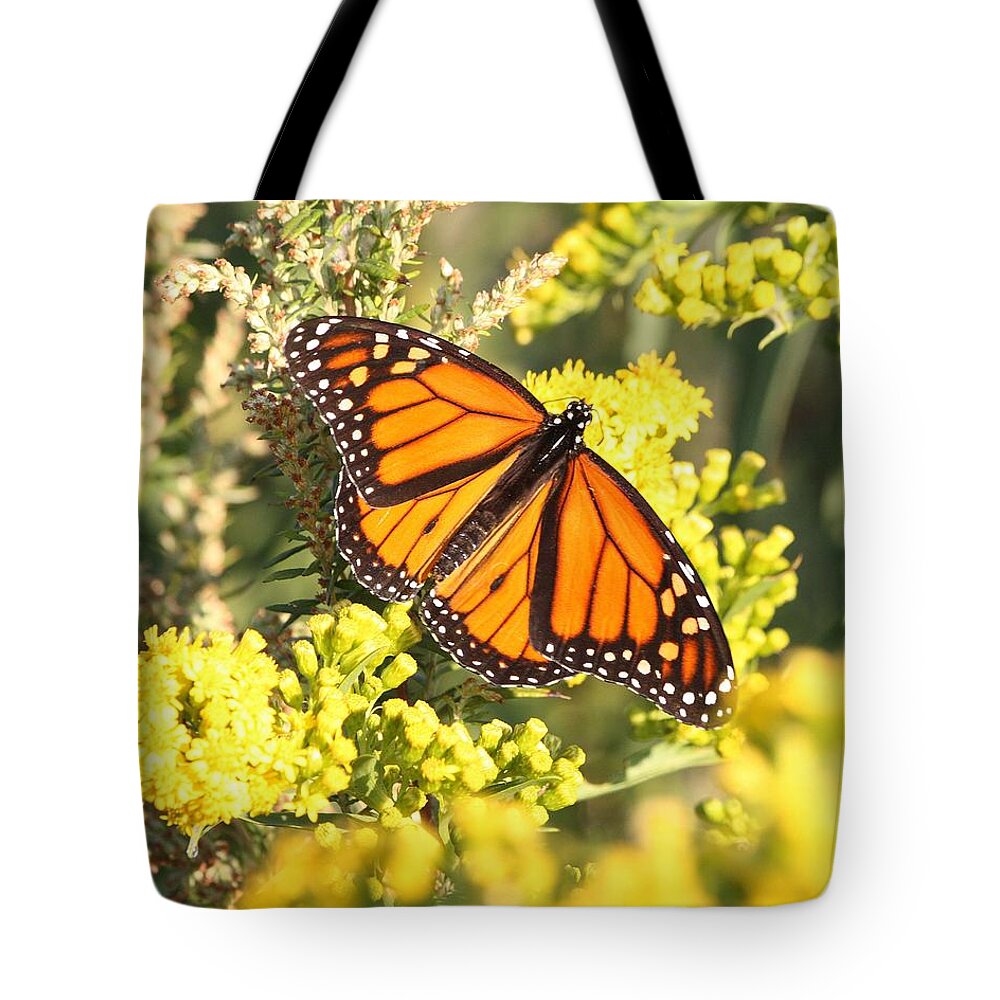 Monarch Butterflies Tote Bag featuring the photograph Beauty Defined by Captain Debbie Ritter