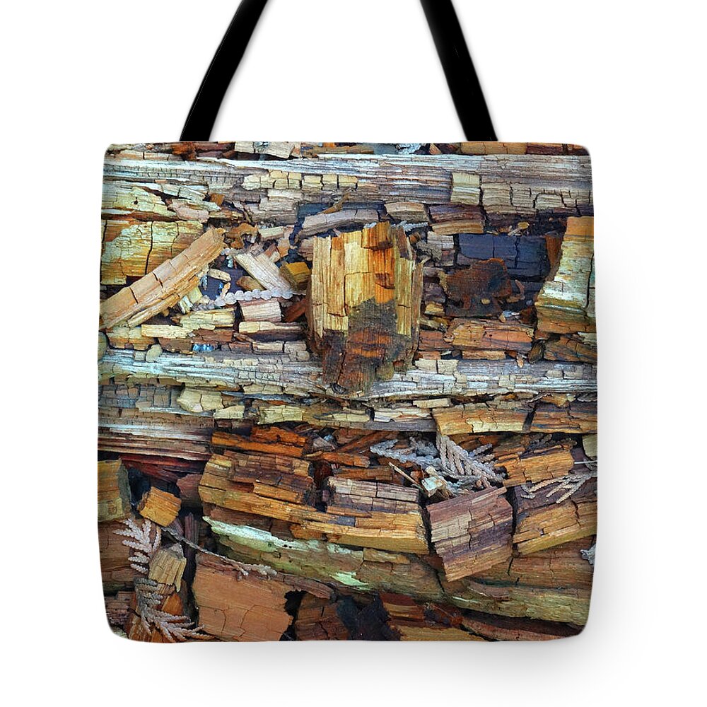 Woods Tote Bag featuring the photograph Beauty in Decay Abstract by David T Wilkinson