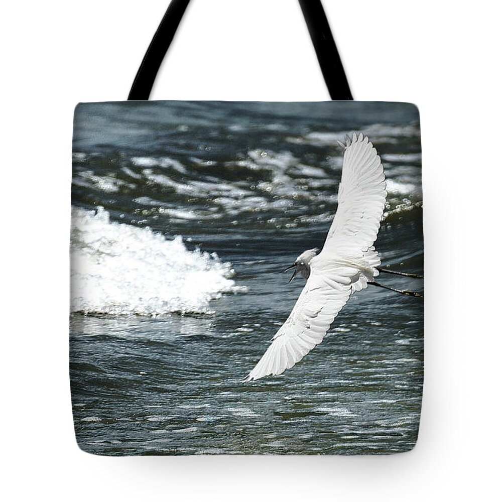 Snowy Egret Tote Bag featuring the photograph Beauty in Motion by Carol Lloyd
