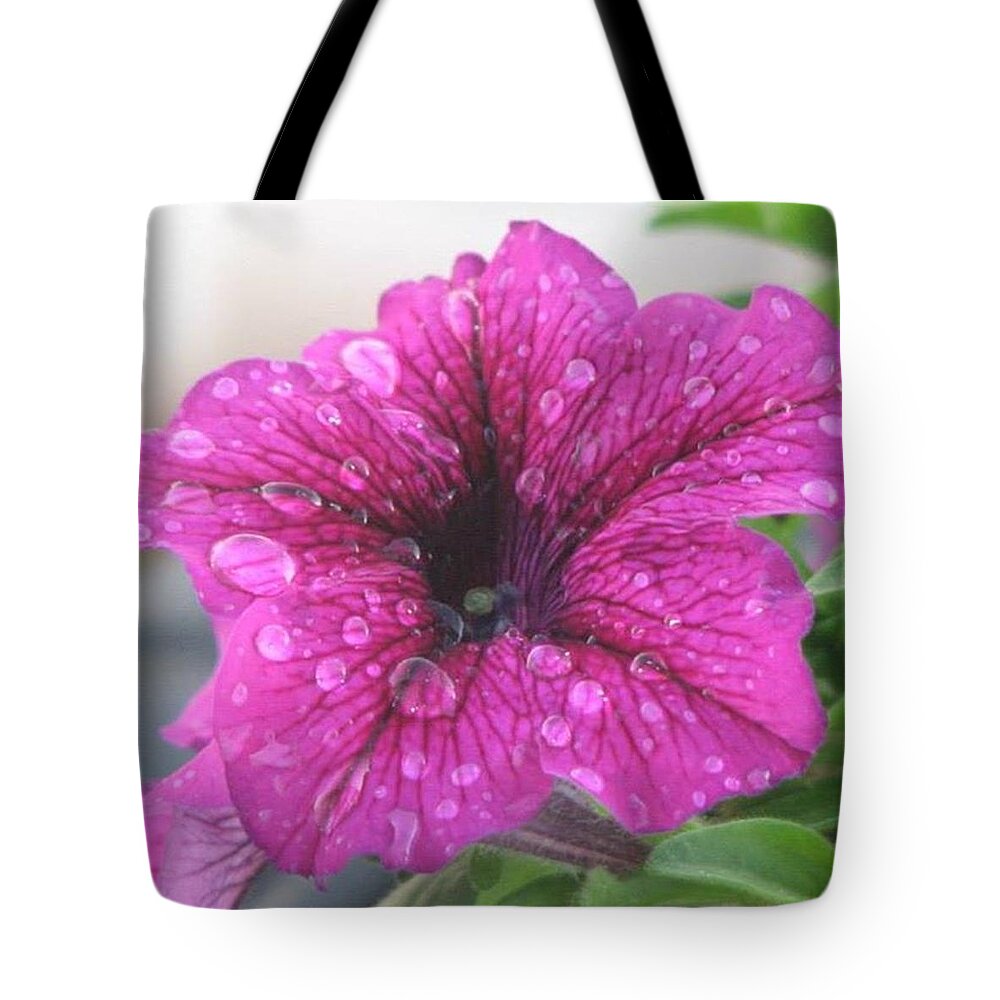 Purple Tote Bag featuring the photograph Beauty in Nature by Sharon Duguay