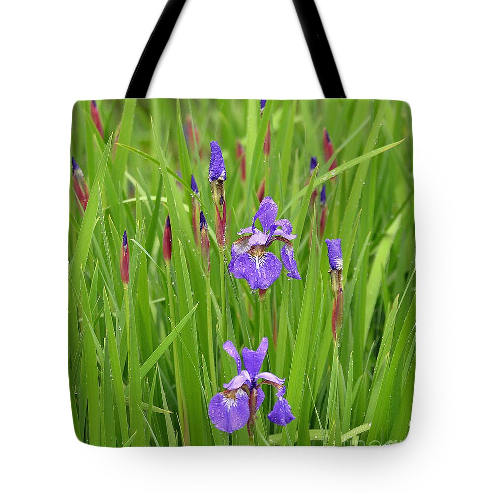 Rain Tote Bag featuring the photograph Beauty in the Rain by Lila Fisher-Wenzel