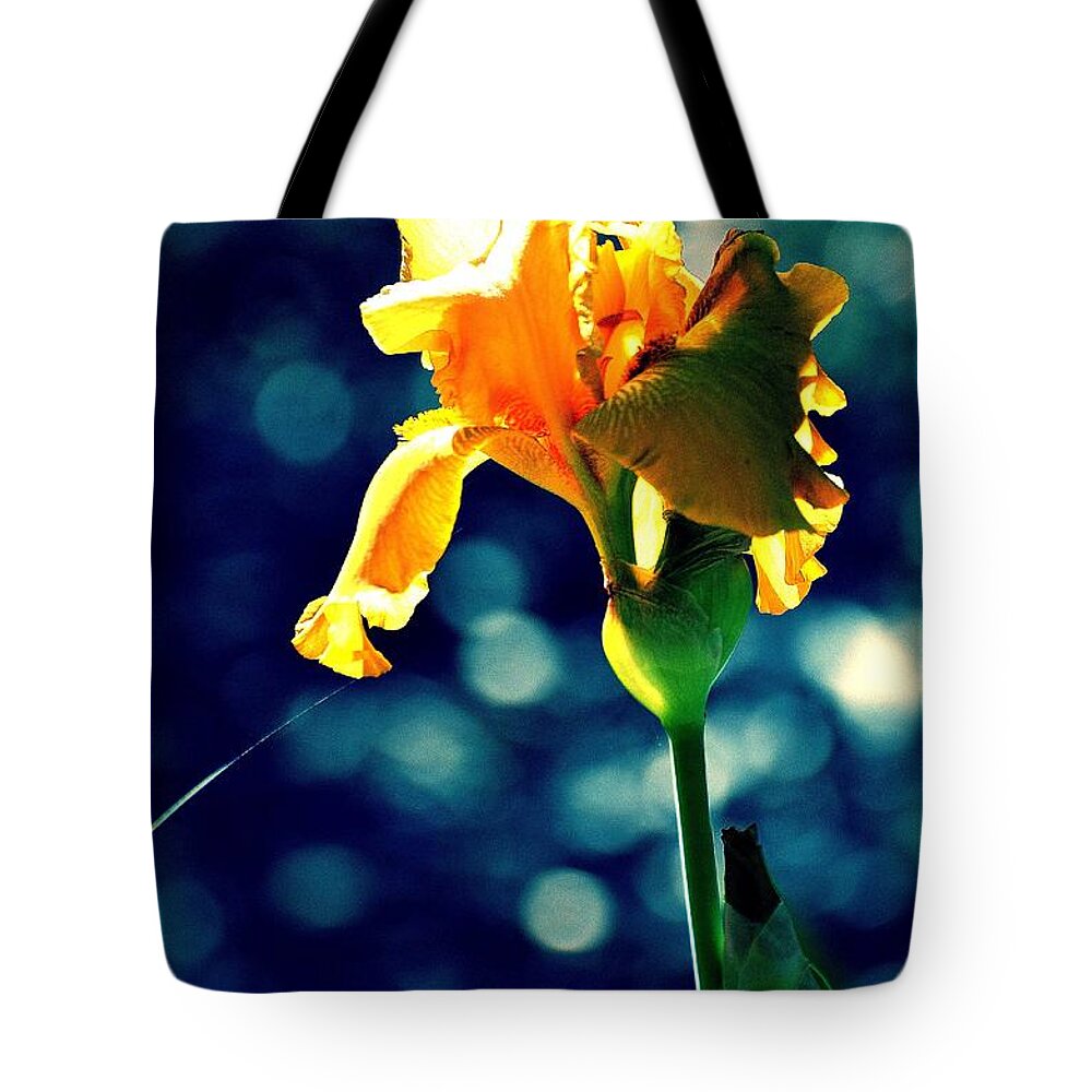 Iris Tote Bag featuring the photograph Iris Beauty In Yellow by Linda Cox