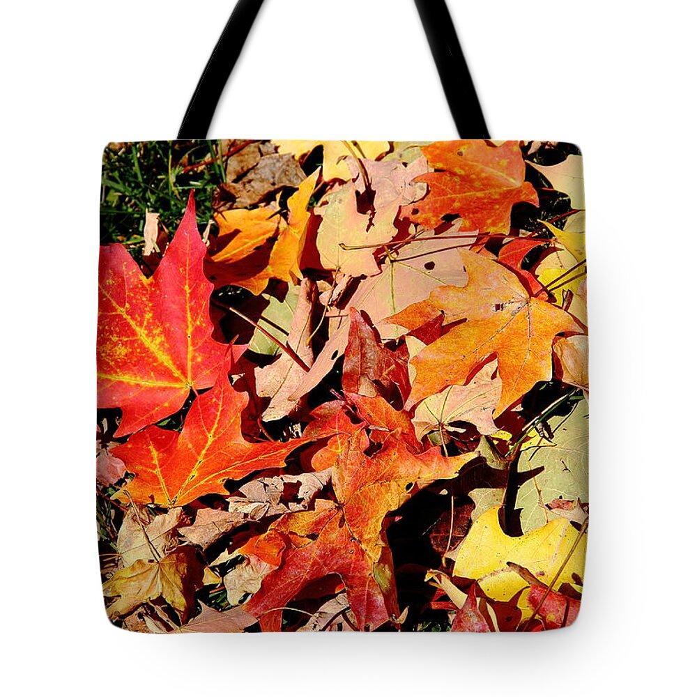 Leaves Tote Bag featuring the photograph Beauty of Fallen Leaves by Allen Nice-Webb