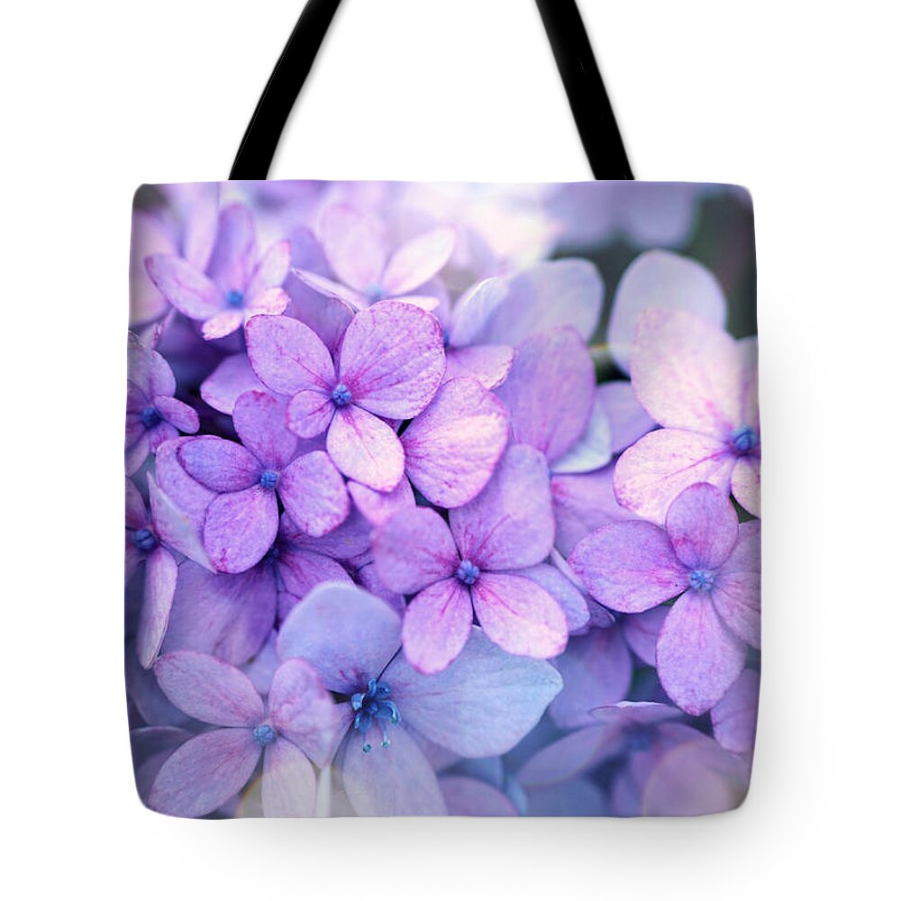 Beautiful Tote Bag featuring the photograph Beauty of hydrangea by Lilia D