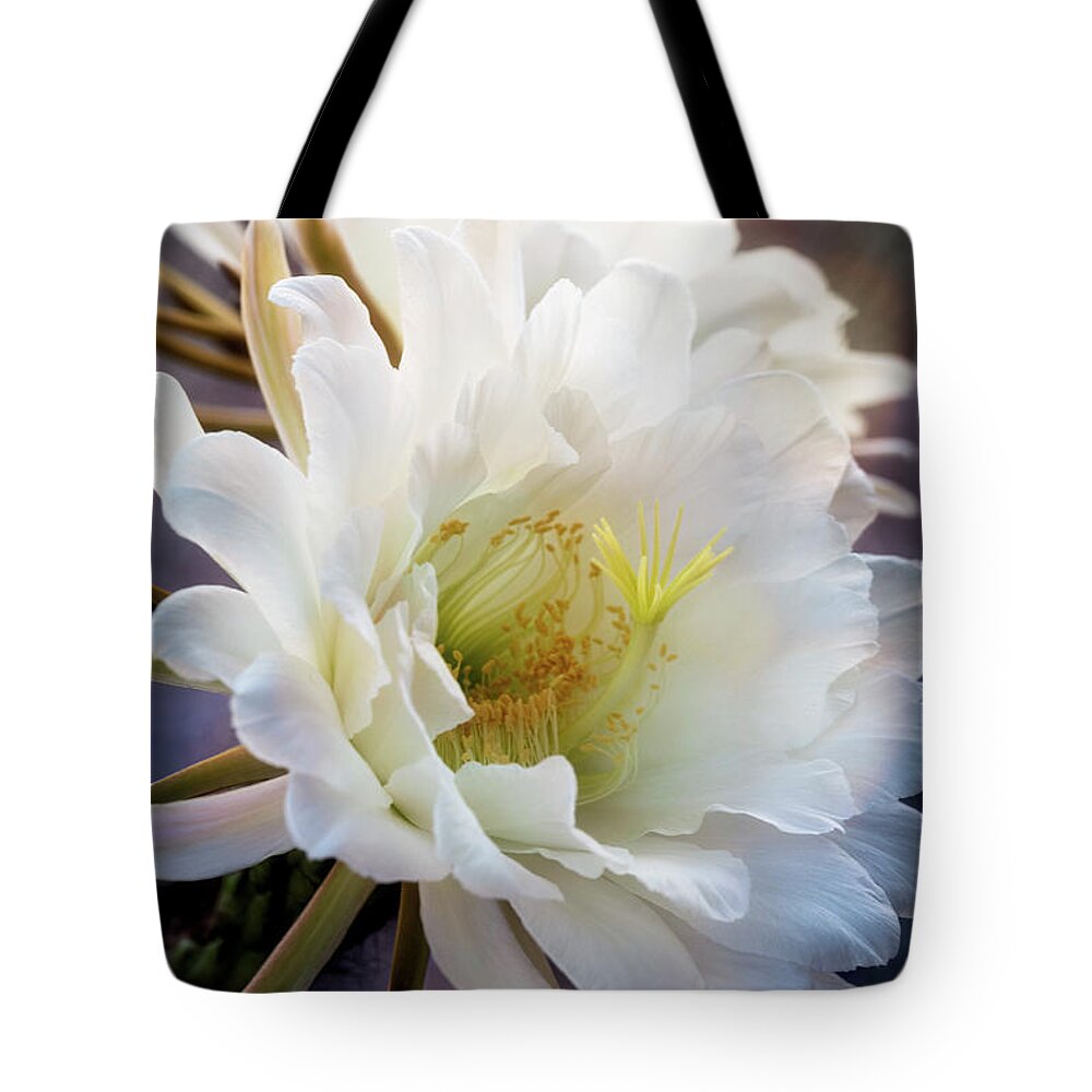 Torch Cactus Tote Bag featuring the photograph Beauty of the Night Blooms by Saija Lehtonen