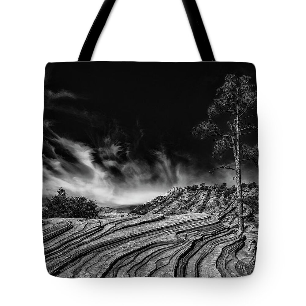 Zion Tote Bag featuring the photograph Beauty of the Southwest by Erika Fawcett