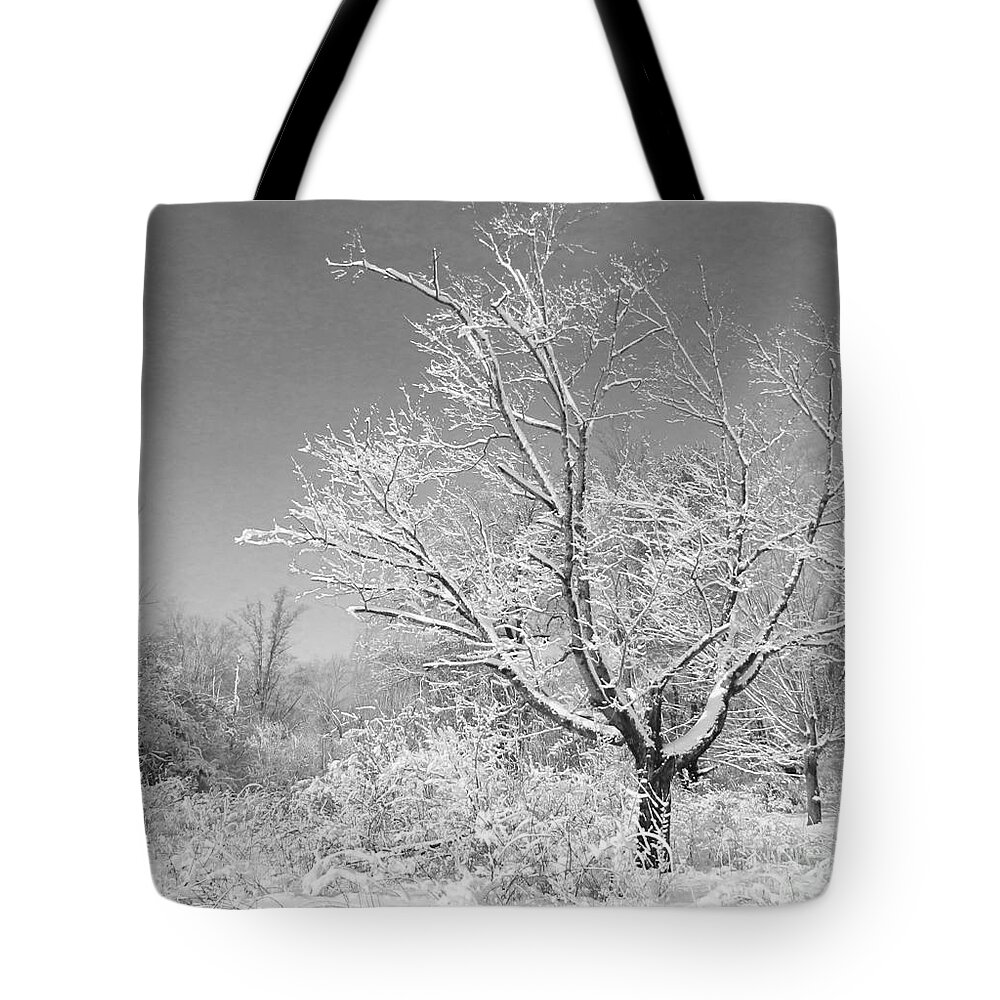 Landscape Tote Bag featuring the photograph Beauty of Winter by Marcia Lee Jones