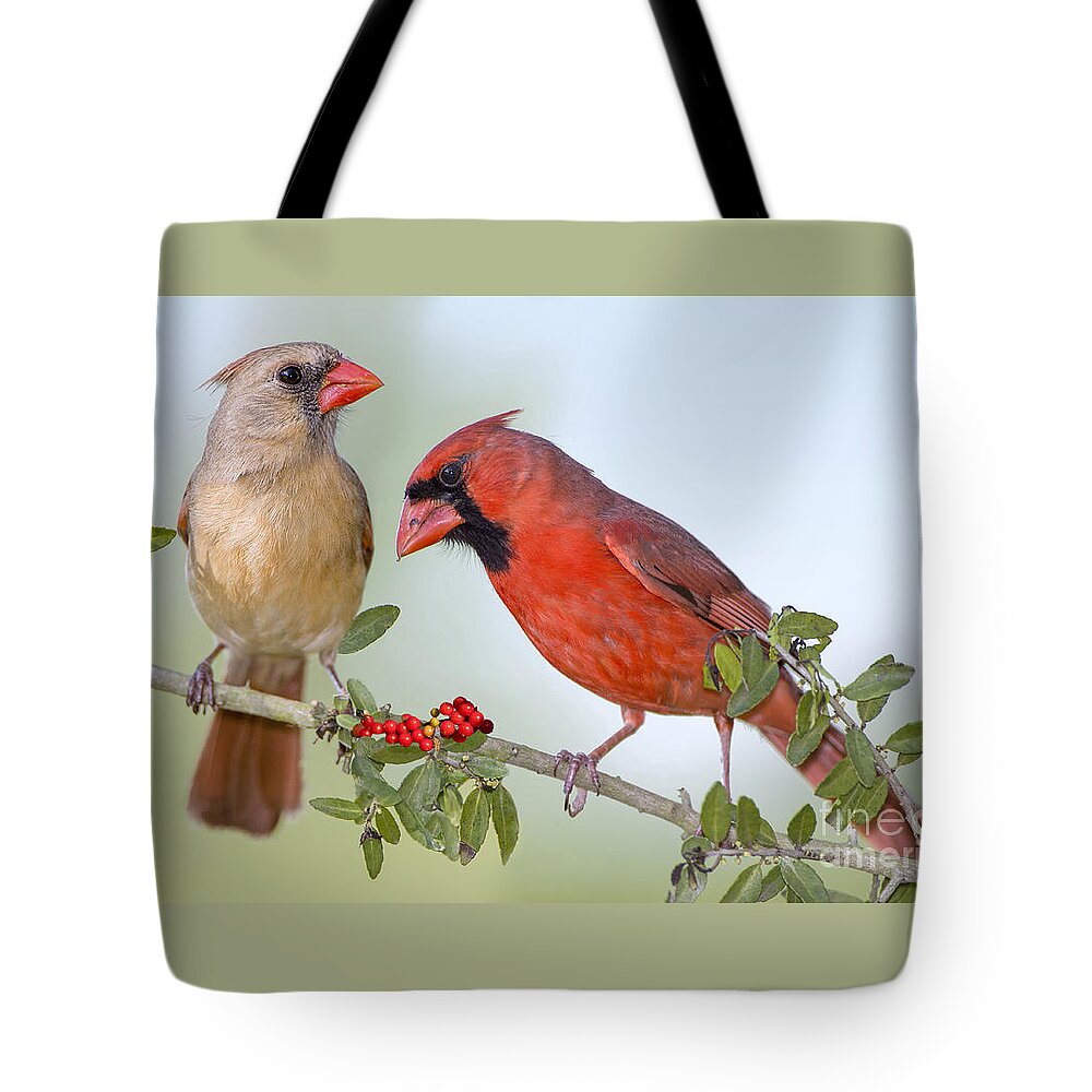 Beauty On A Branch Tote Bag featuring the photograph Beauty on a Branch by Bonnie Barry