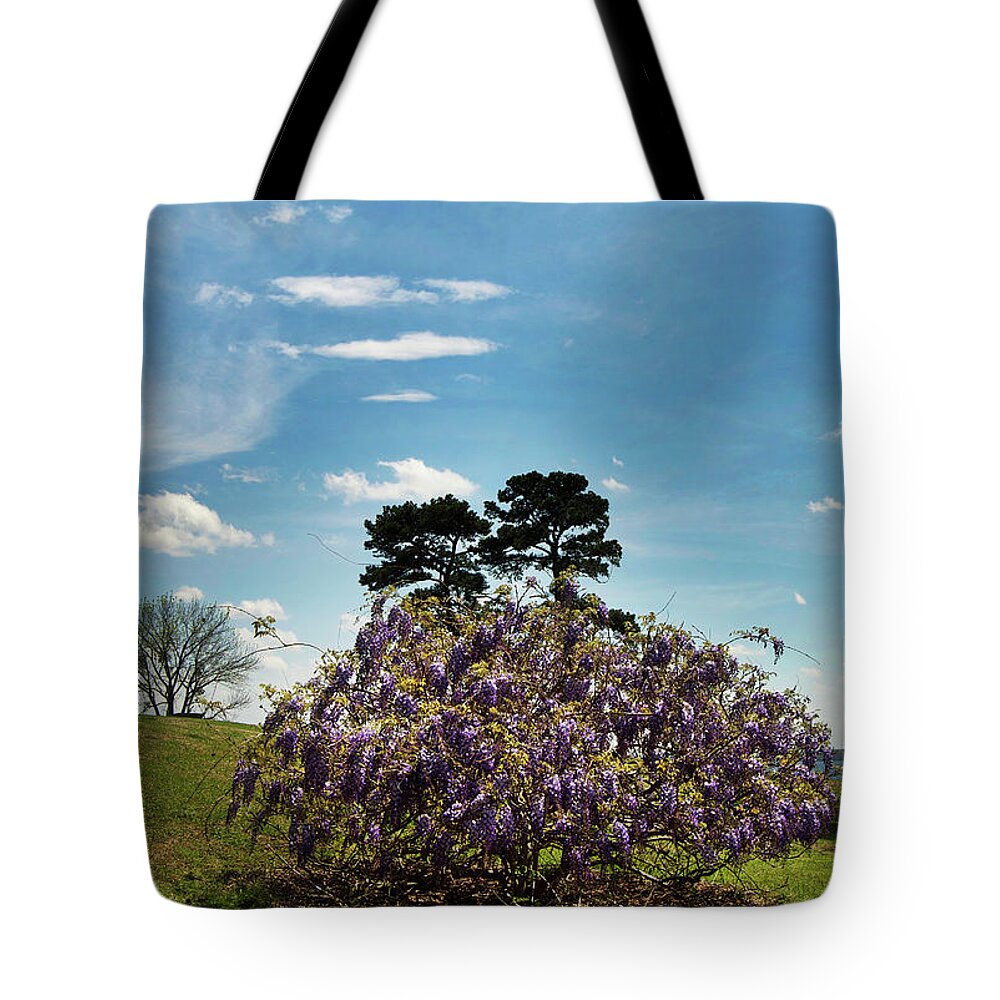 Scenic Tote Bag featuring the photograph Beauty by Skip Willits