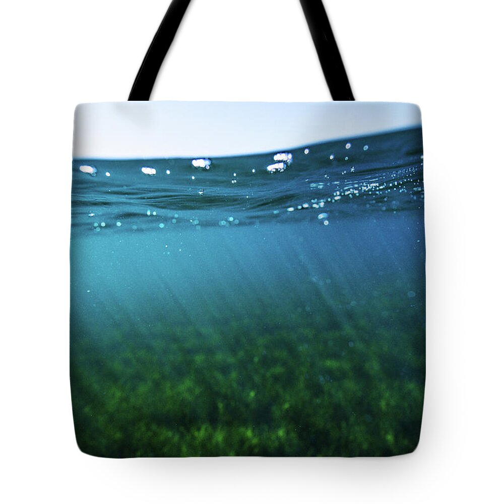 Underwater Tote Bag featuring the photograph Beauty Under the Water by Gemma Silvestre