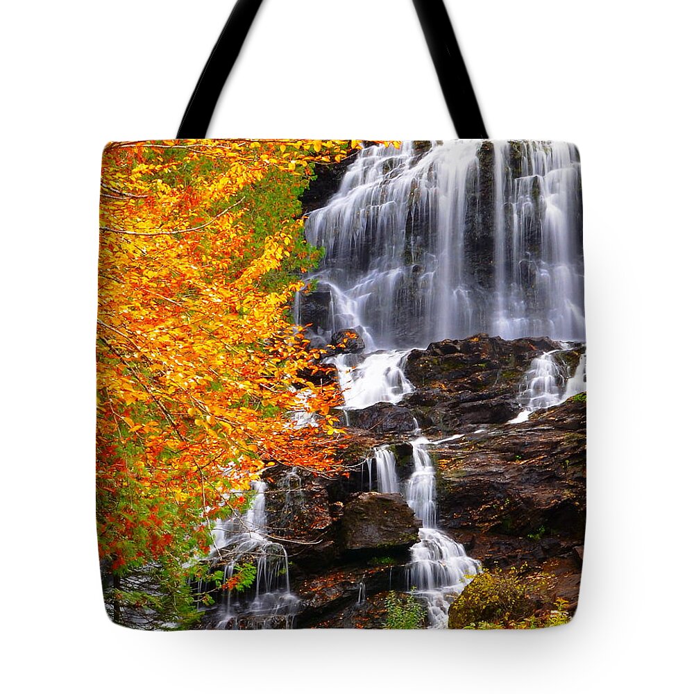 Landscape Tote Bag featuring the photograph Beaver Brook Falls by Harry Moulton