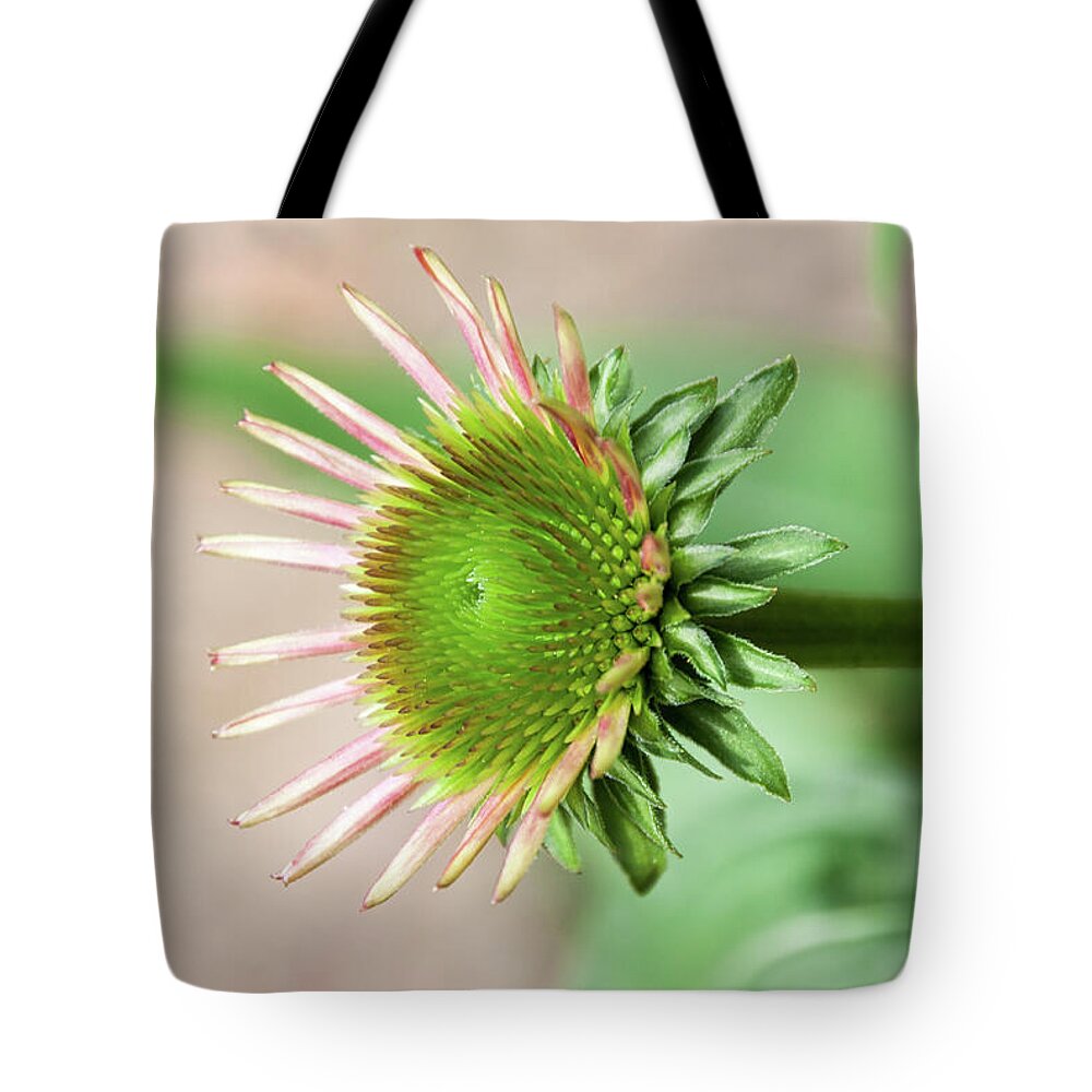 Echinacea Tote Bag featuring the photograph Becoming Echinacea - by Julie Weber