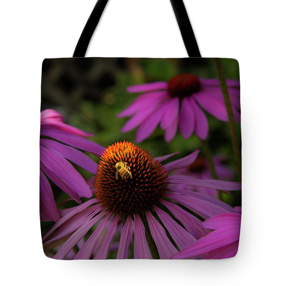 Flower Tote Bag featuring the photograph Bee and Coneflower by Doug Scrima