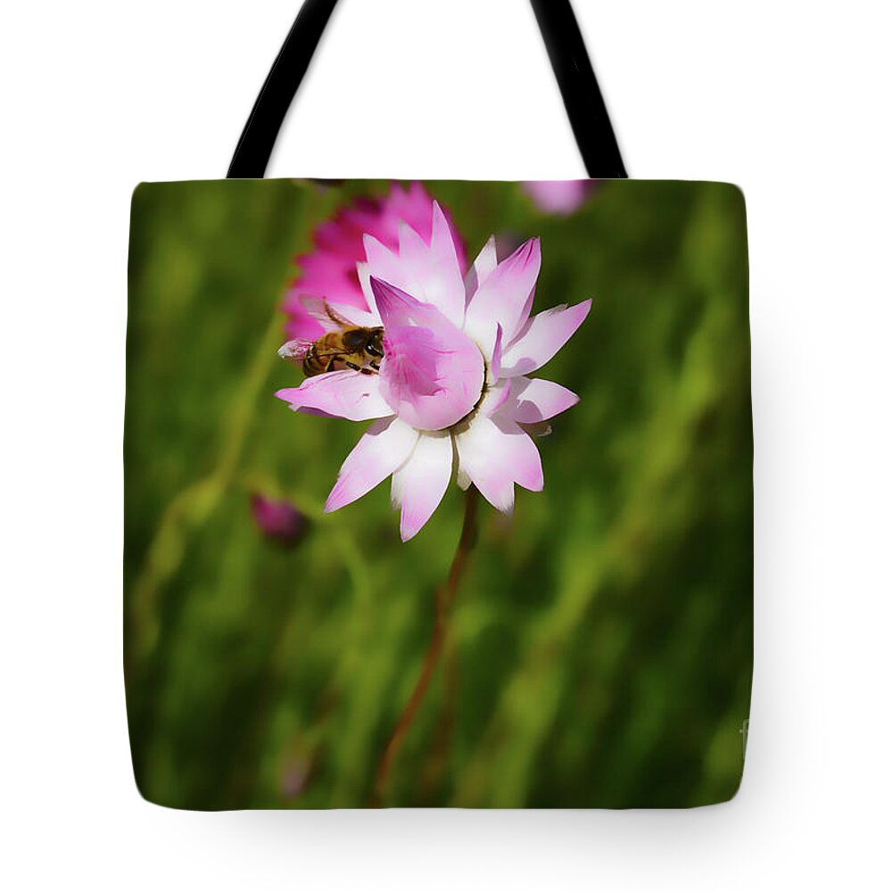 Everlasting Tote Bag featuring the photograph Bee and Everlasting by Cassandra Buckley