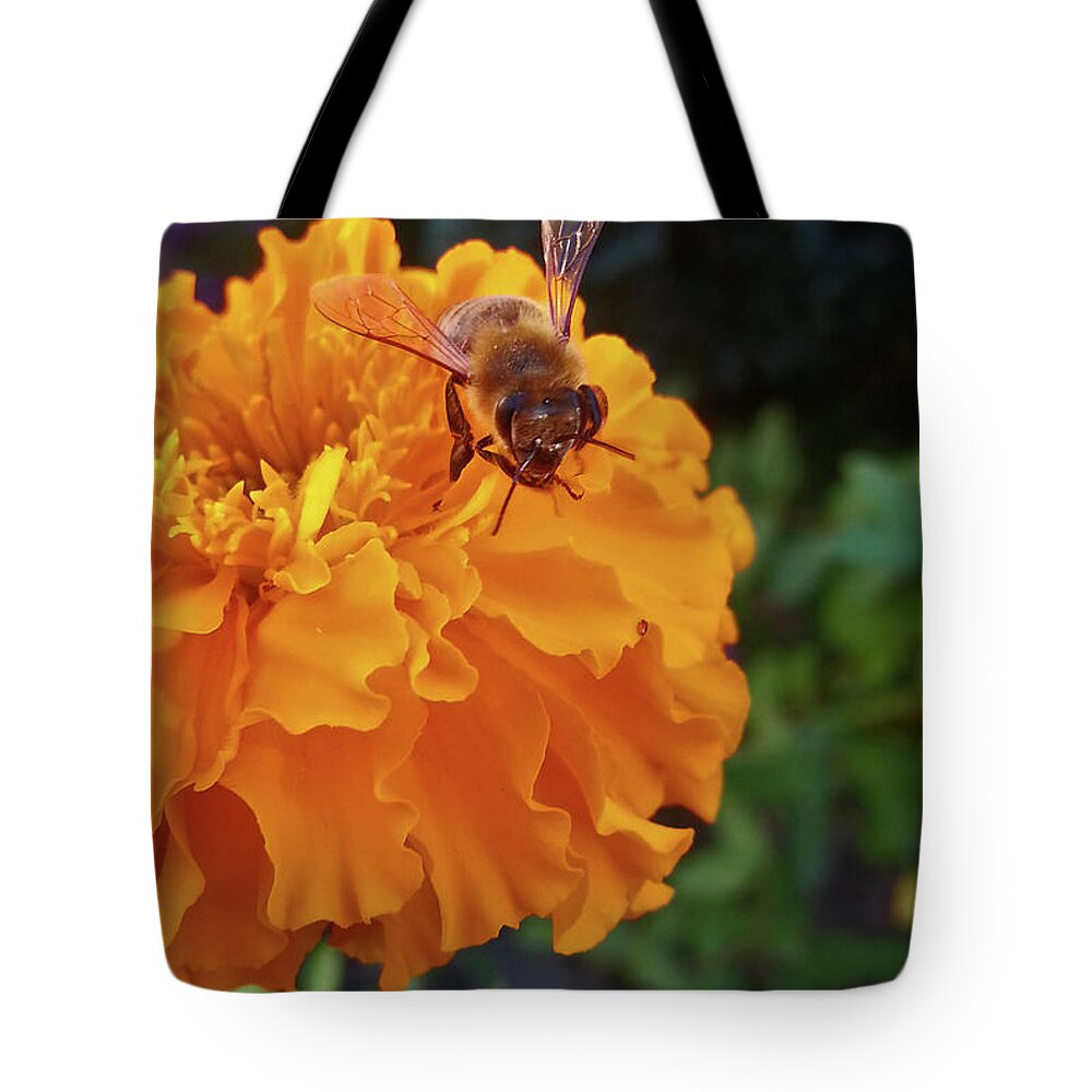 Farmboyzim Tote Bag featuring the photograph Bee and Marigold by Harold Zimmer