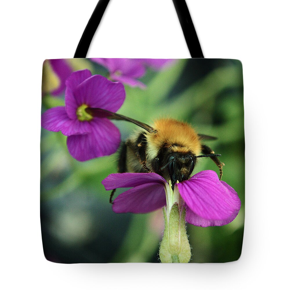 Bee Tote Bag featuring the photograph Bee At Work by Adrian Wale
