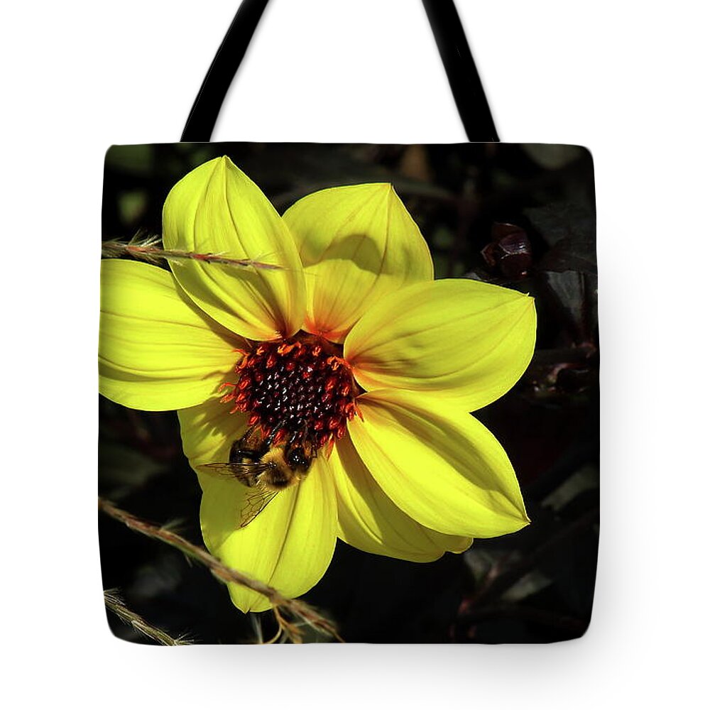Flower Tote Bag featuring the photograph Bee at Work by Les Greenwood