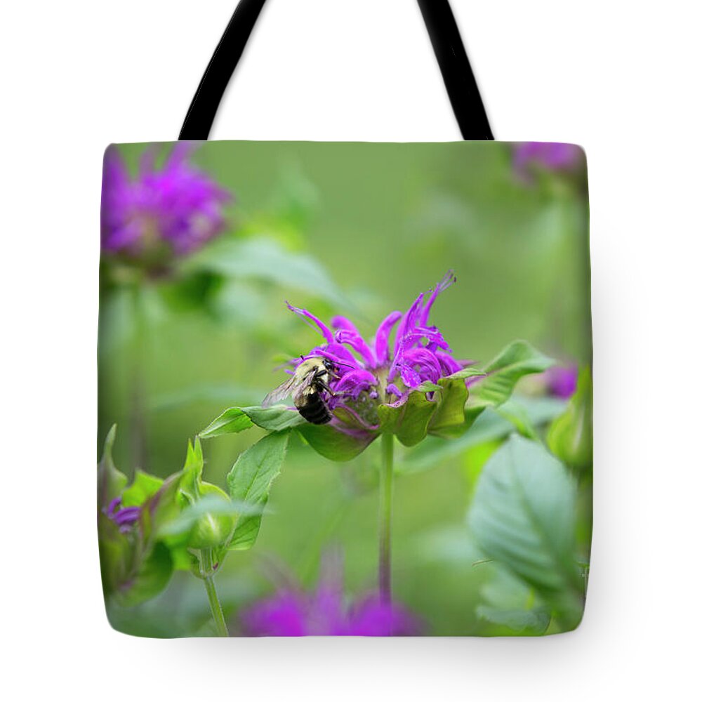 Monarda Tote Bag featuring the photograph Bee Balm by Diane Diederich