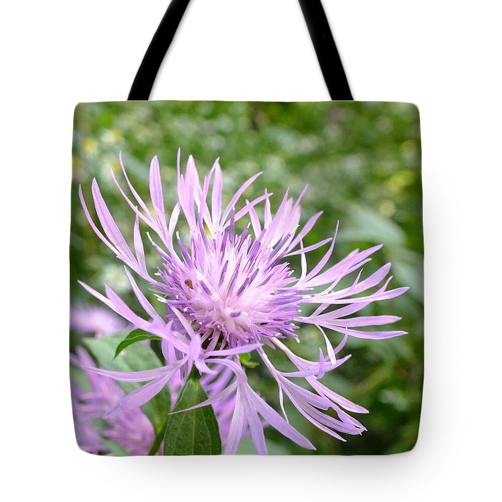 Nature Tote Bag featuring the photograph Bee Balm by Peggy King