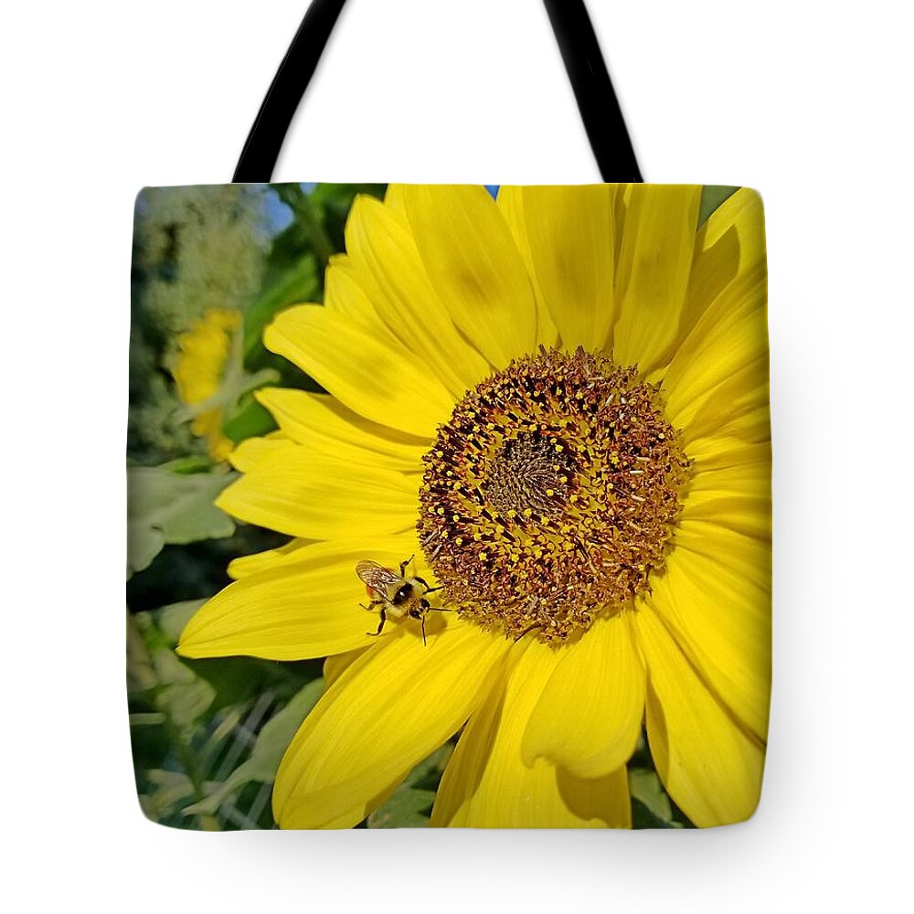Yellow Tote Bag featuring the photograph Bee-Dazzled by Amanda Smith