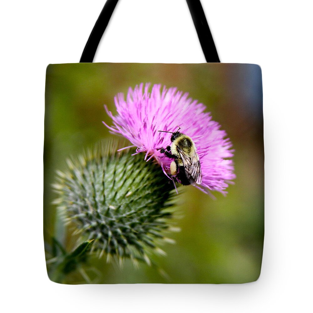 Flower Bud Tote Bag featuring the photograph Bee on a Bud by Kelly Roberts
