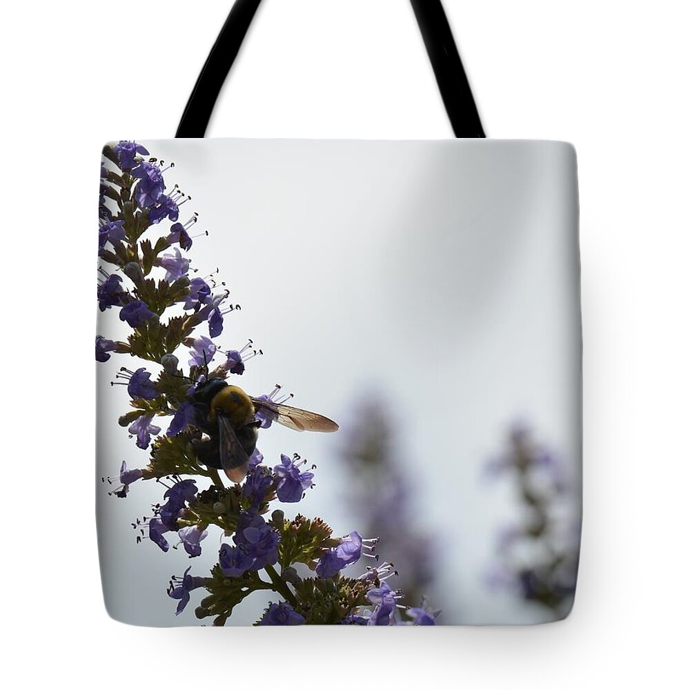Bee On Butterfly Bush Tote Bag featuring the photograph Bee on Butterfly Bush by Maria Urso
