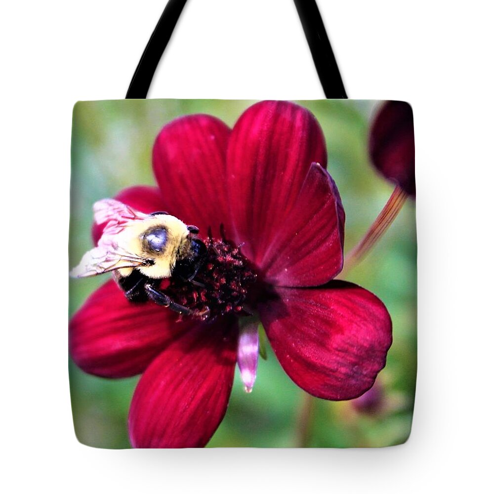 Bee On Crimson Flower Tote Bag featuring the photograph Bee on Crimson Flower by FD Graham