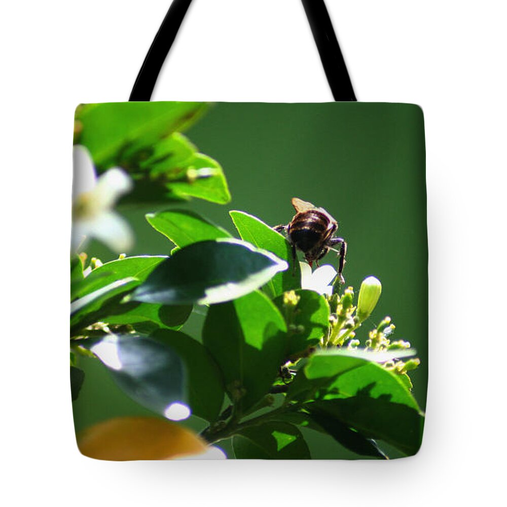 Bee Tote Bag featuring the photograph Bee on Jasmine by Shelley Overton