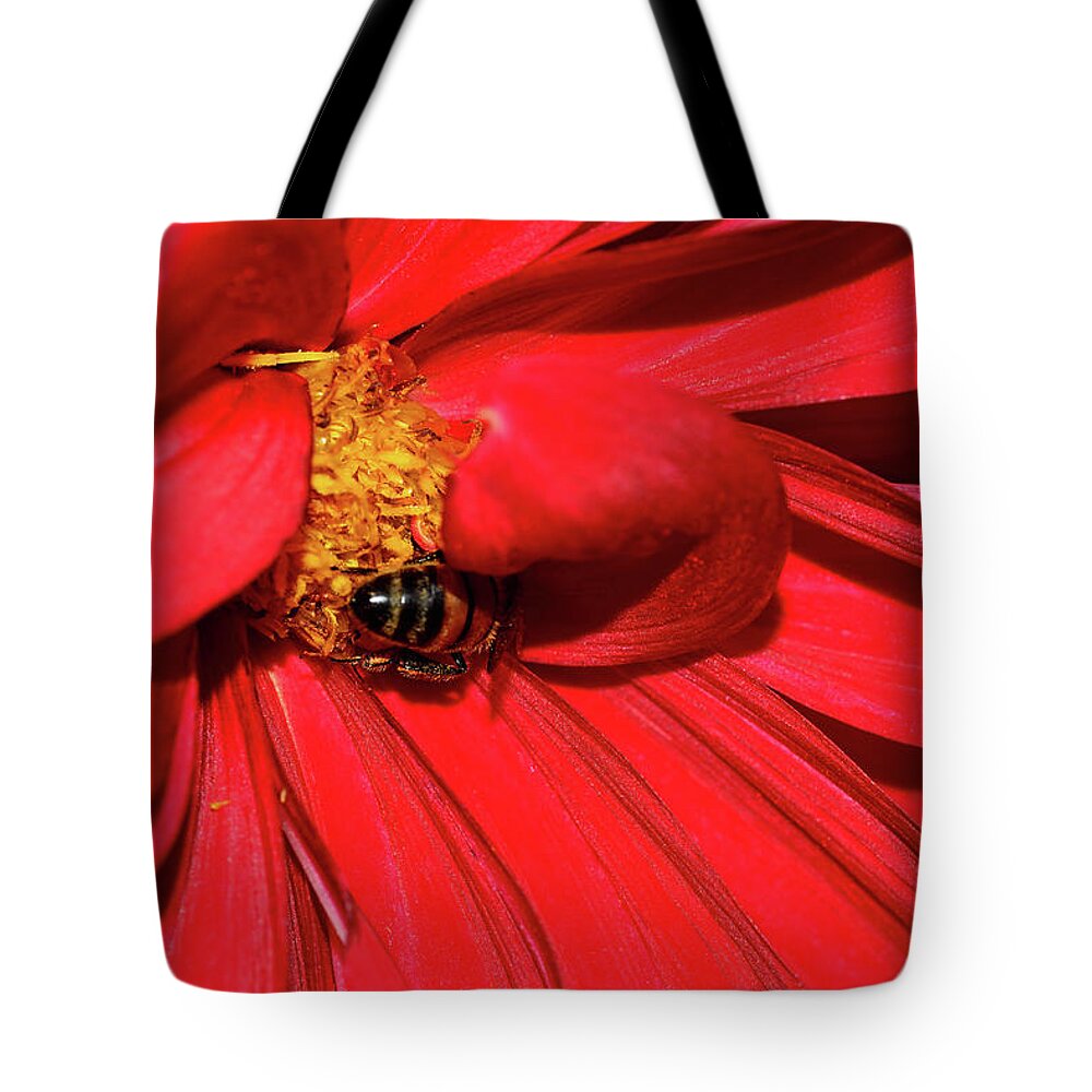 Bee On Red Dahlia Tote Bag featuring the photograph Bee on Red Dahlia by Kaye Menner by Kaye Menner