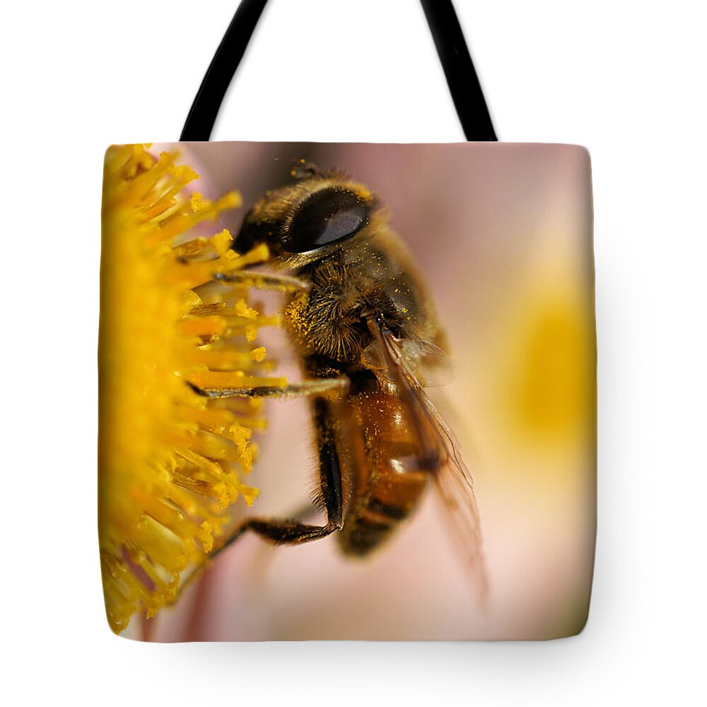 Bee On The Flower Tote Bag featuring the photograph Hoverfly on the flower extreme close up by Lilia S