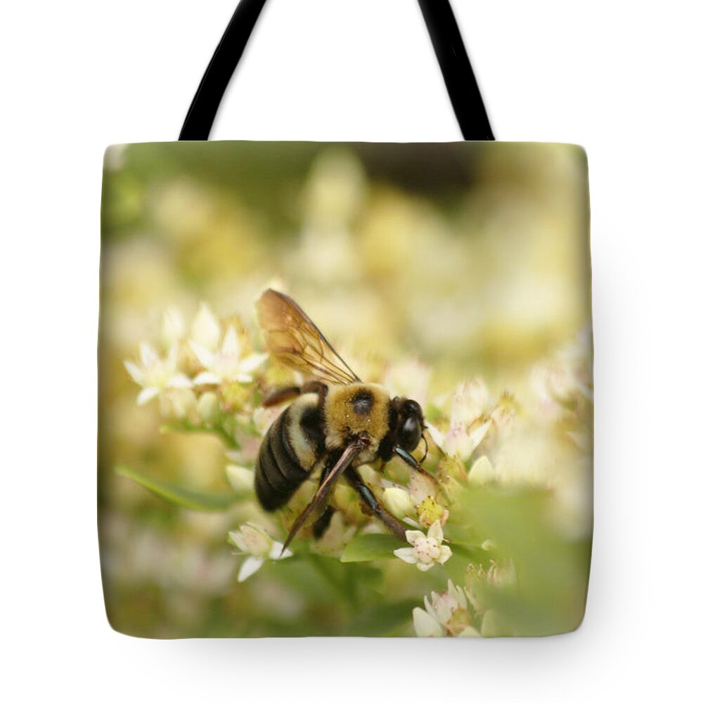 Bee On Top Of Things Tote Bag featuring the photograph Bee on Top of Things by Ola Allen
