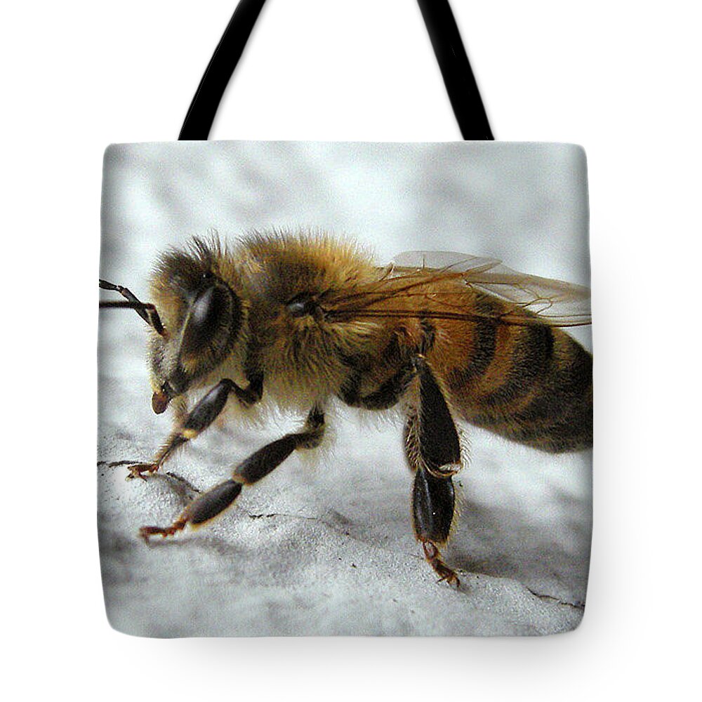 Bee Tote Bag featuring the photograph Bee On Wall by Erica Freeman