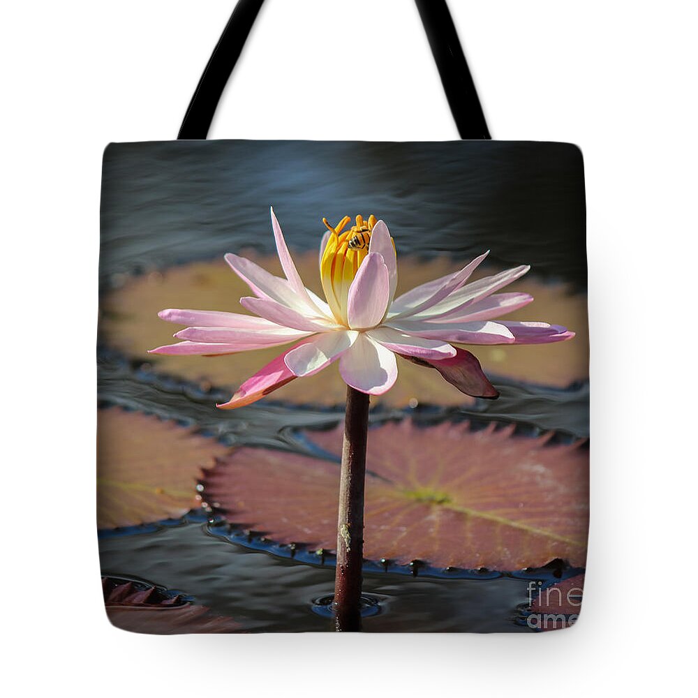 East Coast Tote Bag featuring the photograph Bee On Waterlily by Liesl Walsh