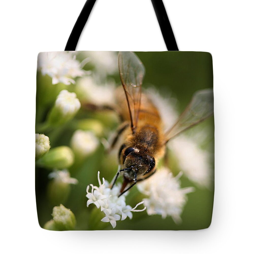 Wasp Tote Bag featuring the photograph Bee on White by Angela Rath
