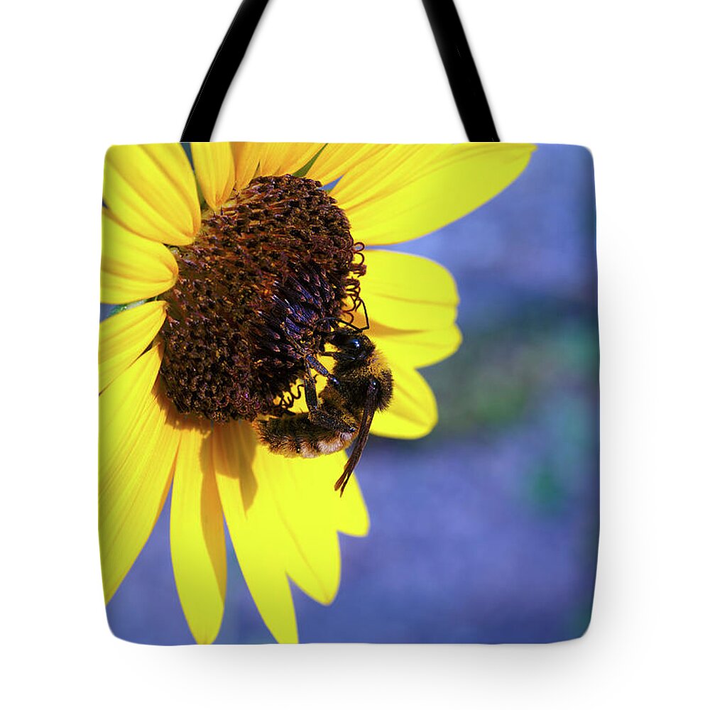 Texas Tote Bag featuring the photograph Honey Bee by Erich Grant