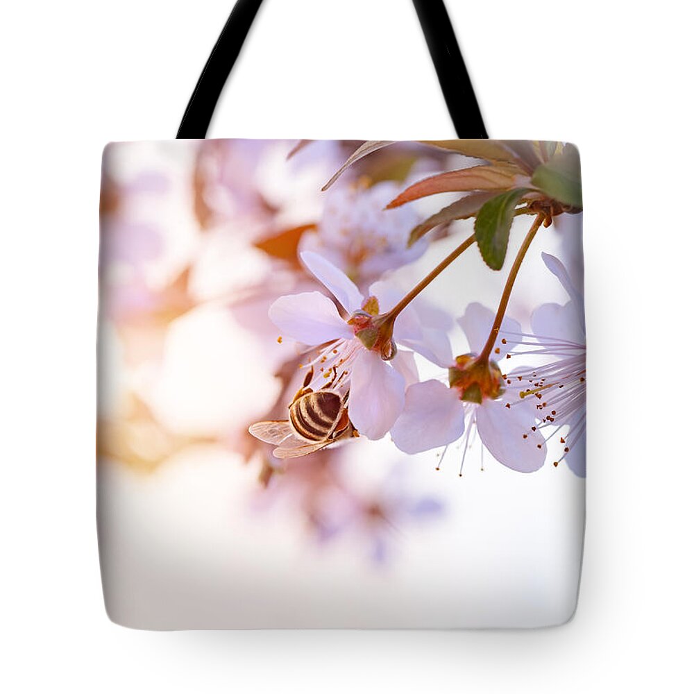 Apple Tote Bag featuring the photograph Bee pollinates spring cherry by Anna Om