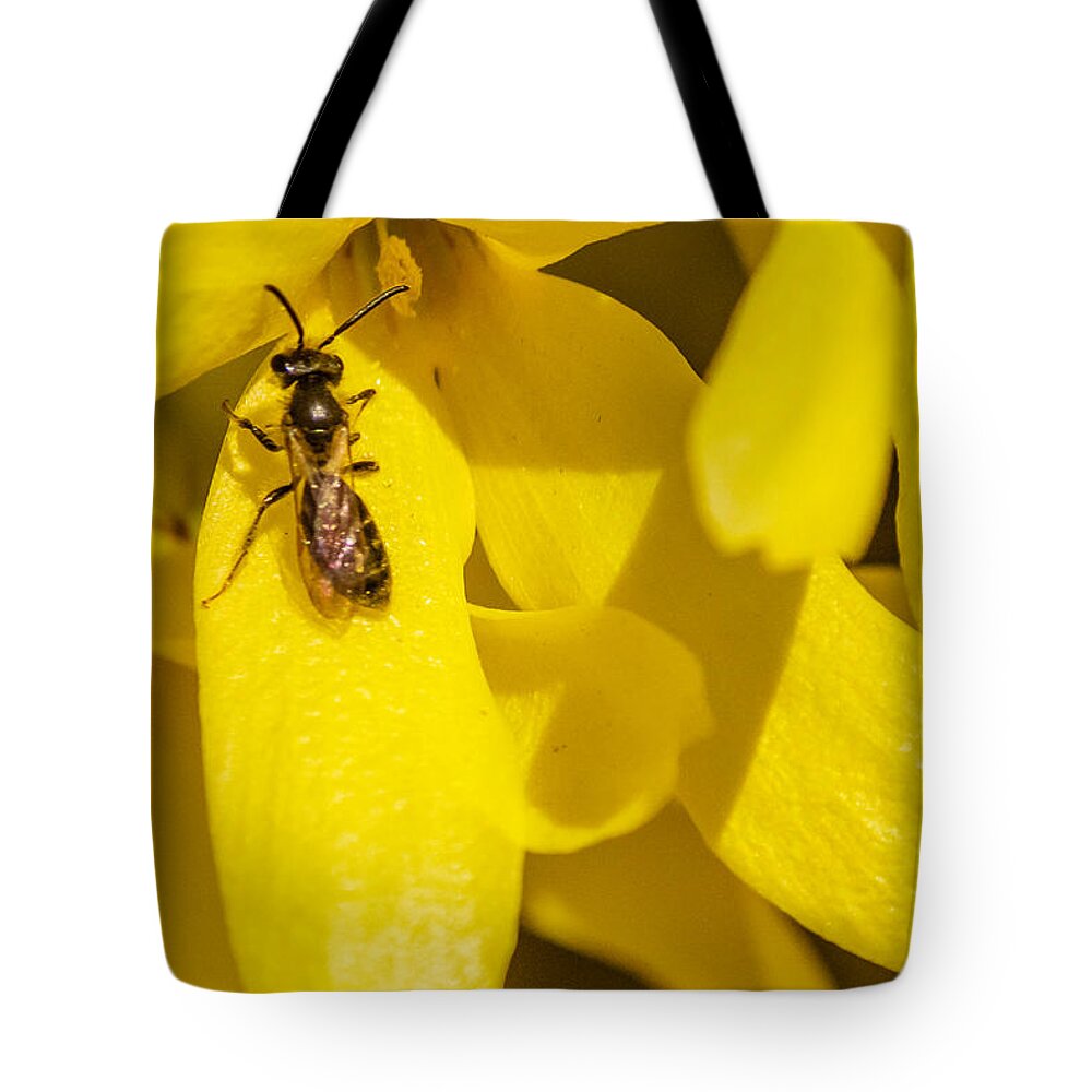 Bee Tote Bag featuring the photograph Bee by SAURAVphoto Online Store