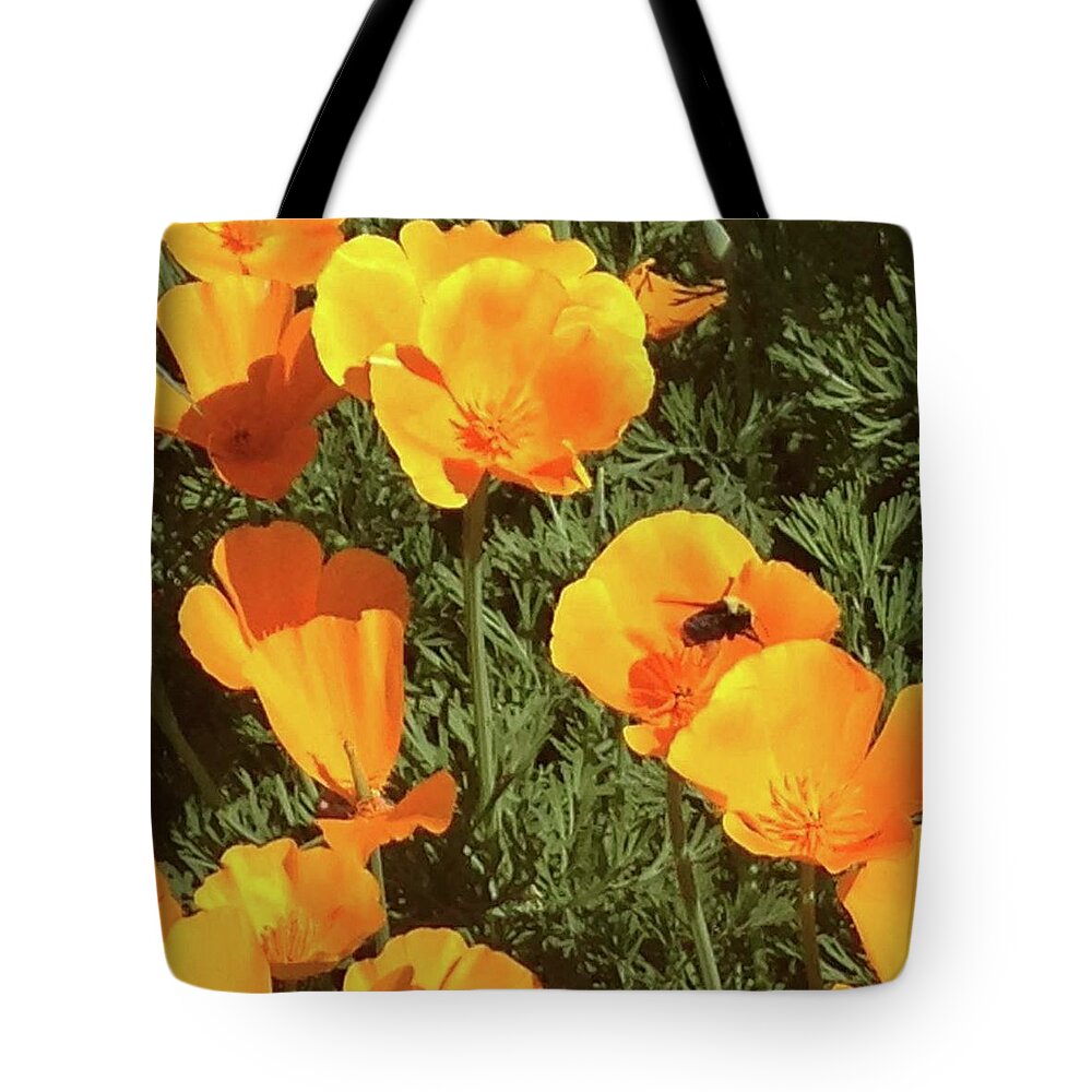 Poppy Tote Bag featuring the photograph Bee visits Poppies by Carolyn Donnell