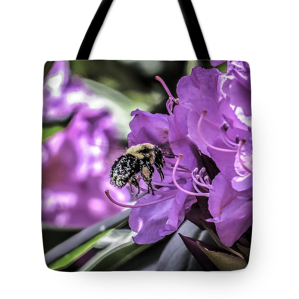 Bumblebee Tote Bag featuring the photograph BEE'ing Busy by Mary Clough