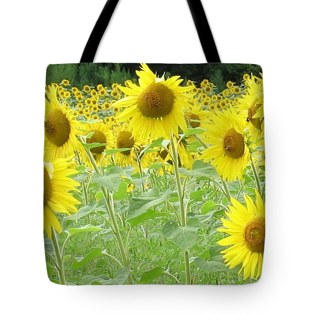 Flowers Tote Bag featuring the photograph Bees Having Lunch by Ed Smith