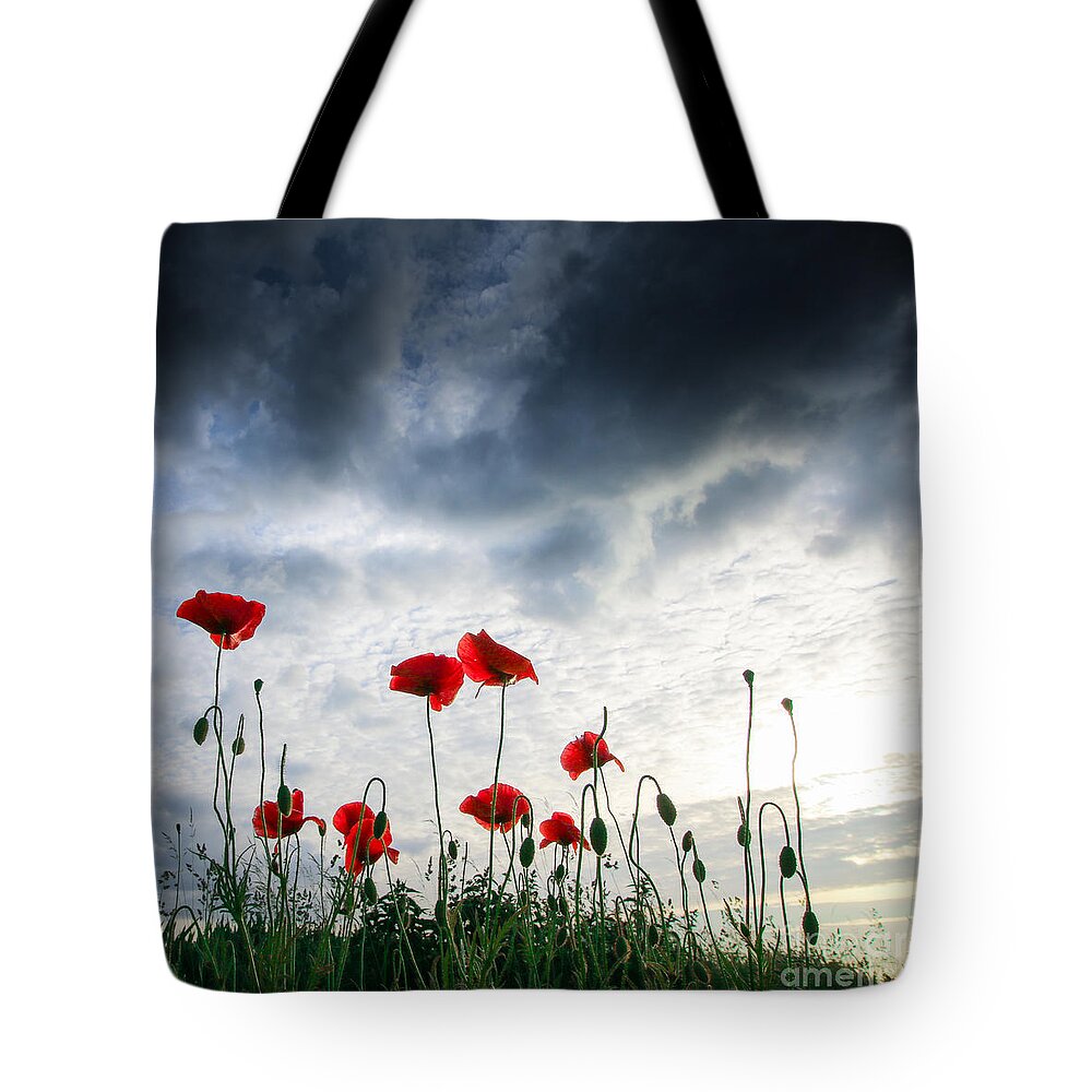 Poppy Tote Bag featuring the photograph Before the Storm by Franziskus Pfleghart