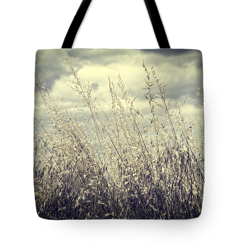Grass Tote Bag featuring the photograph Before the Summer Storm by Linda Lees