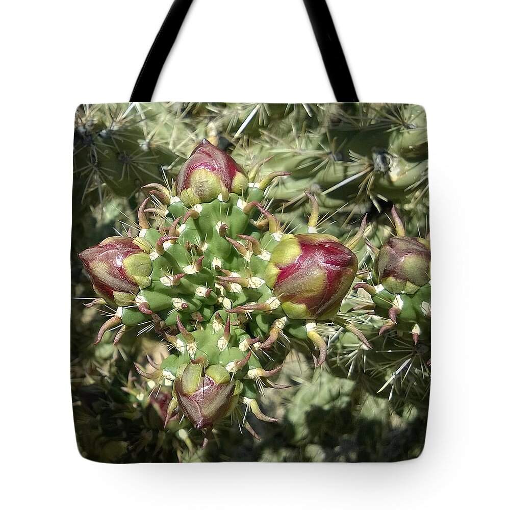 Cactus Tote Bag featuring the photograph Beginnings by Claudia Goodell