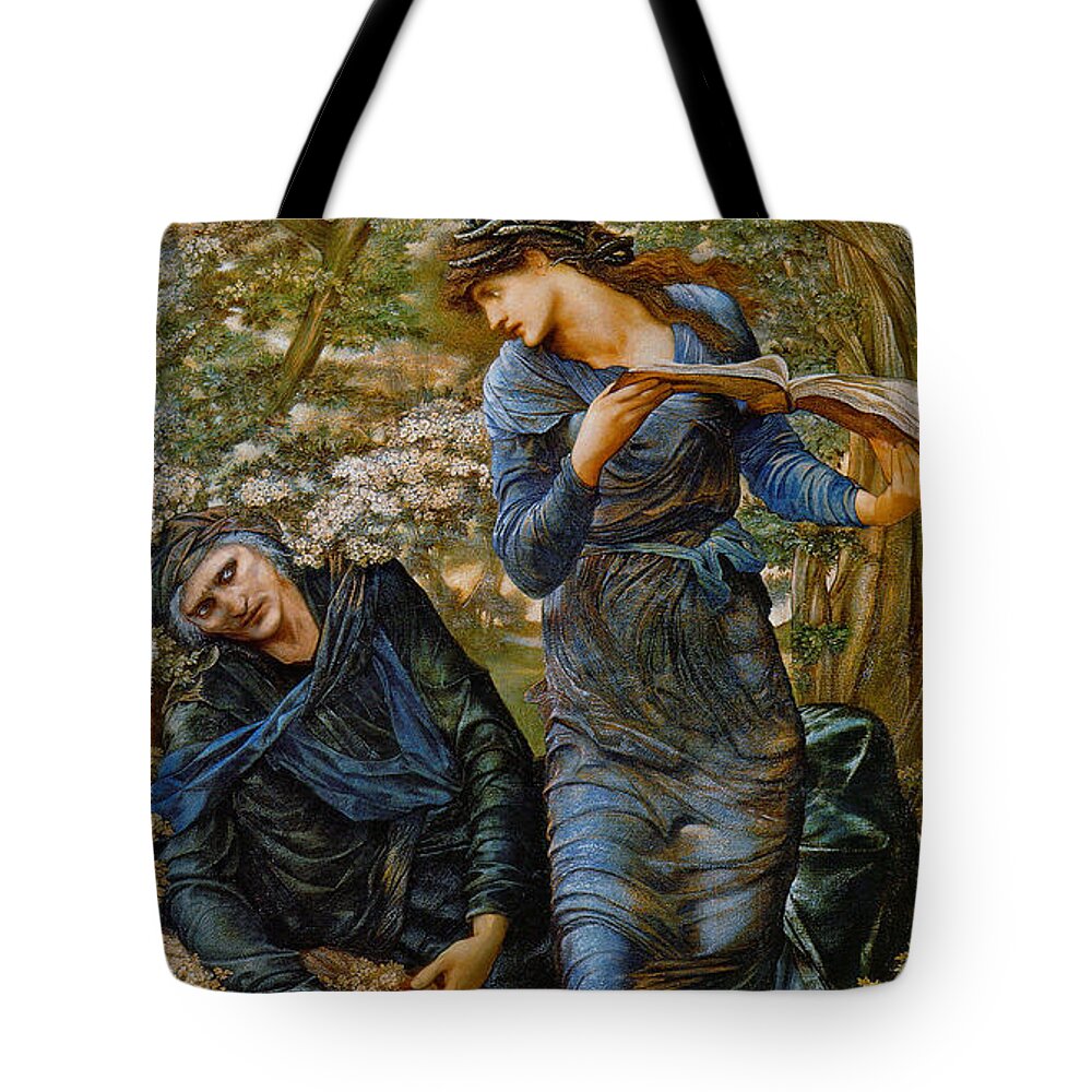 Beguiling Merlin 1873 Tote Bag featuring the photograph Beguiling Merlin 1873 by Padre Art