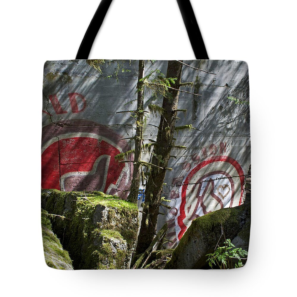 Wall Tote Bag featuring the photograph Behind Broken Walls by Cathy Mahnke