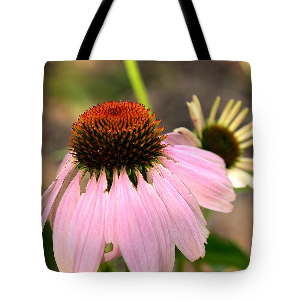 Cone Flower Tote Bag featuring the photograph Behind Mama's Skirt by Wanda Brandon