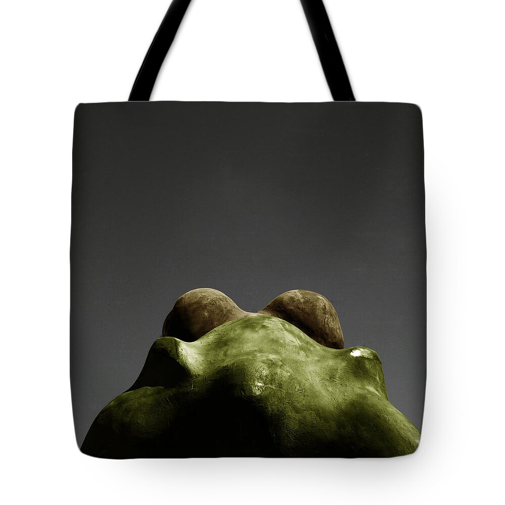 Frog Tote Bag featuring the photograph Behind the frog by Emme Pons