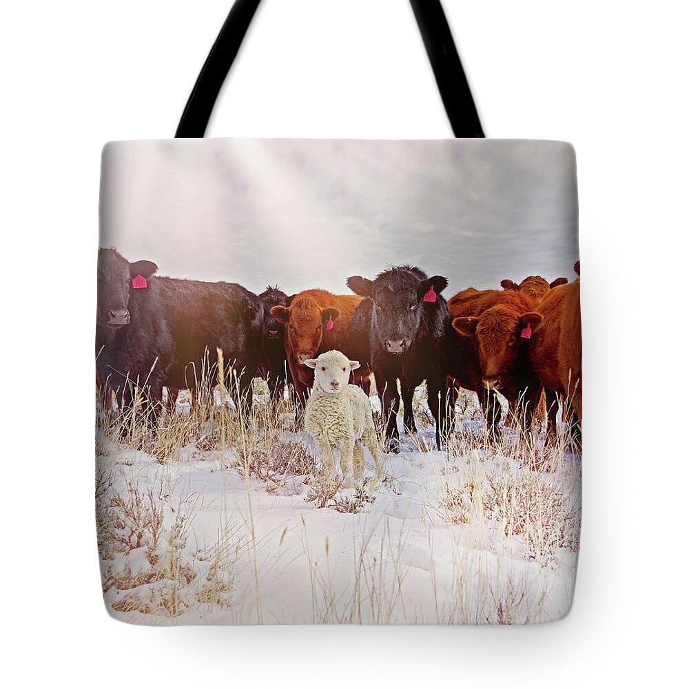 Cattle Tote Bag featuring the photograph Behold by Amanda Smith
